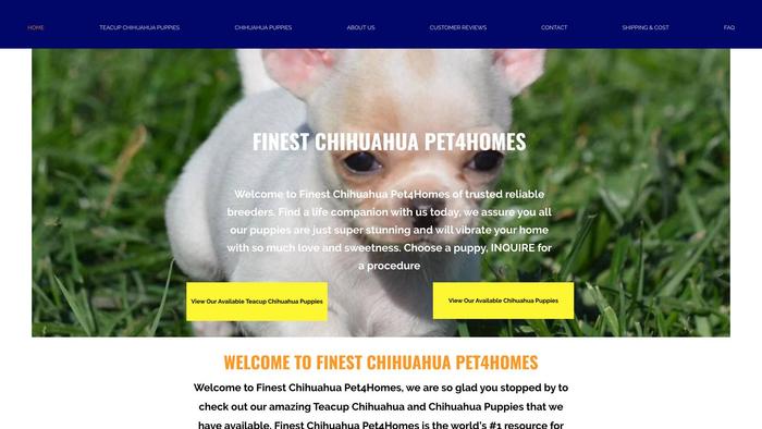 Finestchihuahuapets.com - Chihuahua Puppy Scam Review