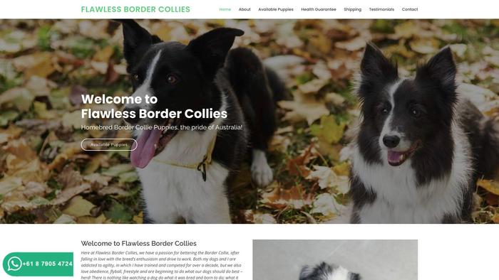 Flawlessbordercollies.com - Bordercollie Puppy Scam Review