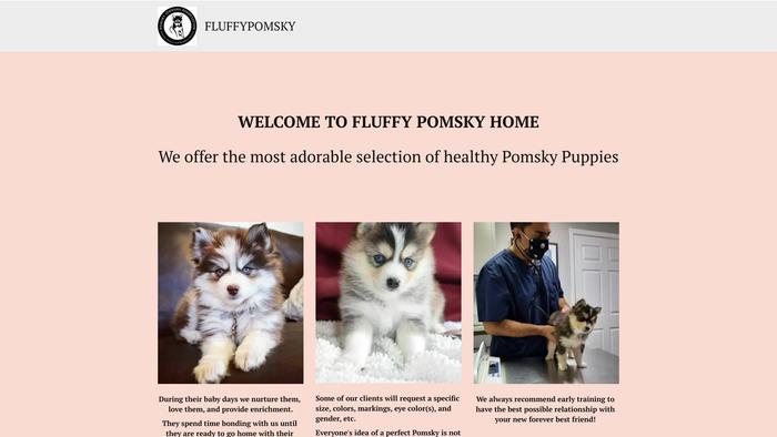 Fluffypomskyau.com - Pomeranian Puppy Scam Review