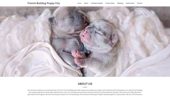 Frenchbulldogpuppycity.com - French Bulldog Puppy Scam Review