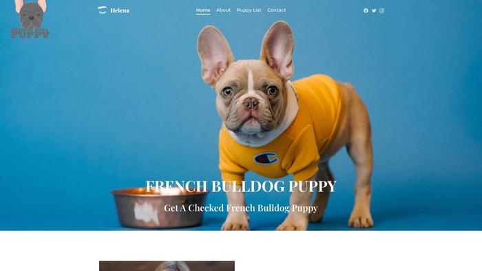 Frenchbullpuppy.com - French Bulldog Puppy Scam Review