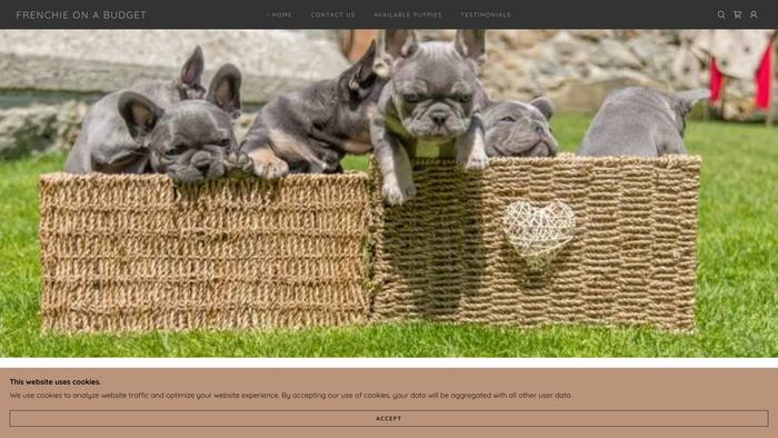 Frenchiebudget.com - French Bulldog Puppy Scam Review