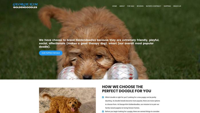 Georgekimgoldendoodles.com - Golden Doodle Puppy Scam Review