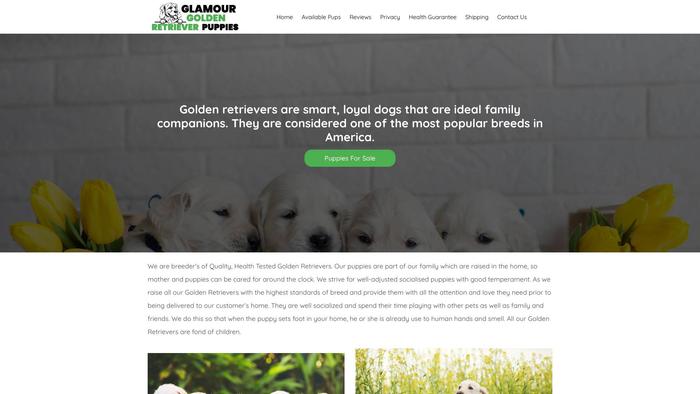 Glamourgoldenretrieverpuppies.com - Golden Retriever Puppy Scam Review