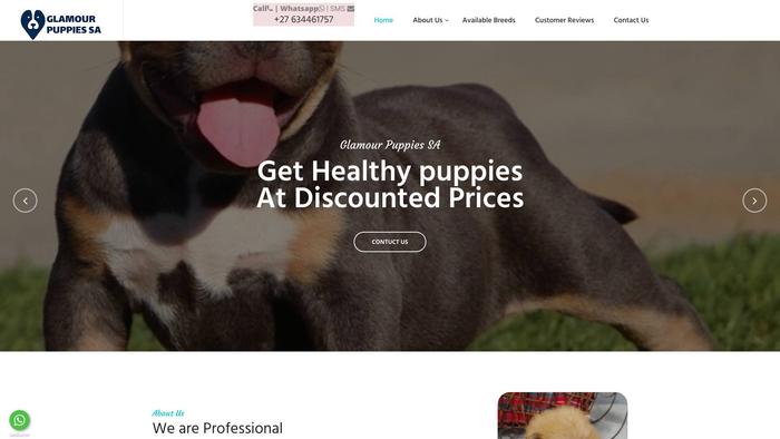 Glamourpuppiessa.com - Australian Shepherd Puppy Scam Review