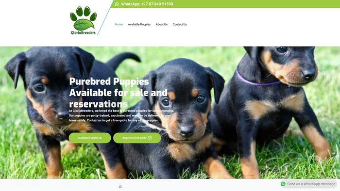 Gloriabreeders.com - Australian Shepherd Puppy Scam Review