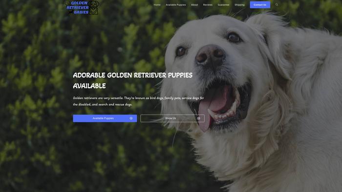 Goldretrieverbabies.com - Golden Retriever Puppy Scam Review