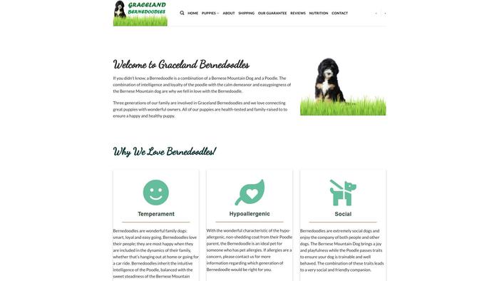 Gracelandbernedoodles.com - Bernedoodle Puppy Scam Review