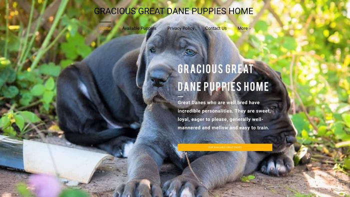 Graciousgreatdanepuppies.com - Great Dane Puppy Scam Review