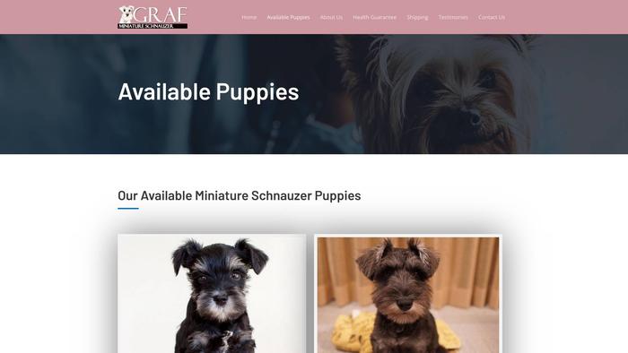 Grafminiatureschnauzer.com - Schnauzer Puppy Scam Review