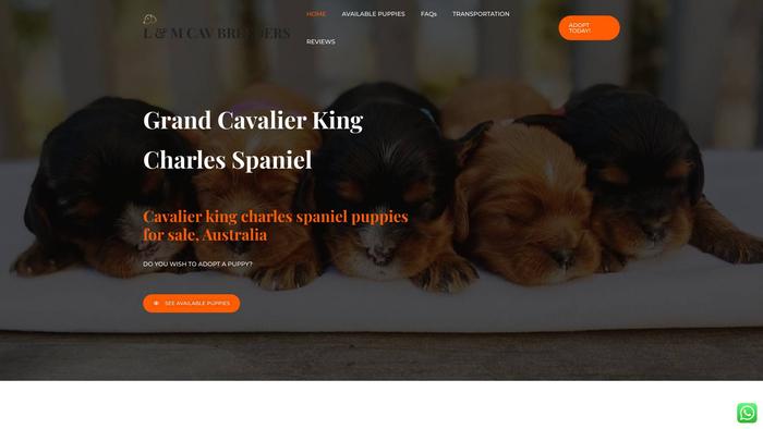 Grandcavalierpuppies.com - Cavalier King Charles Spaniel Puppy Scam Review