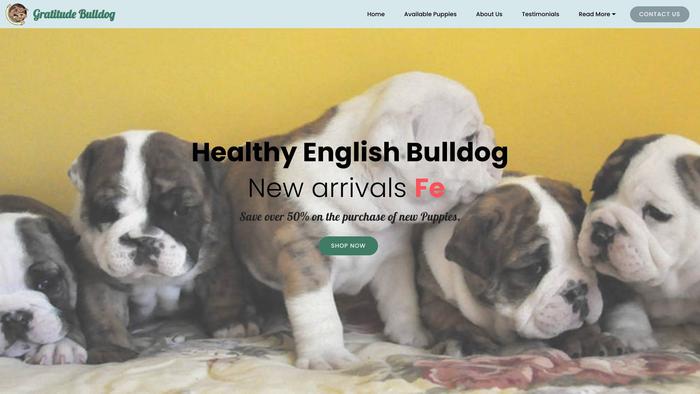 Gratitudebulldogs.com - Bulldog Puppy Scam Review