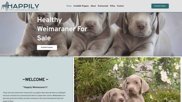 Happilyweimaraners.com - Weimaraner Puppy Scam Review