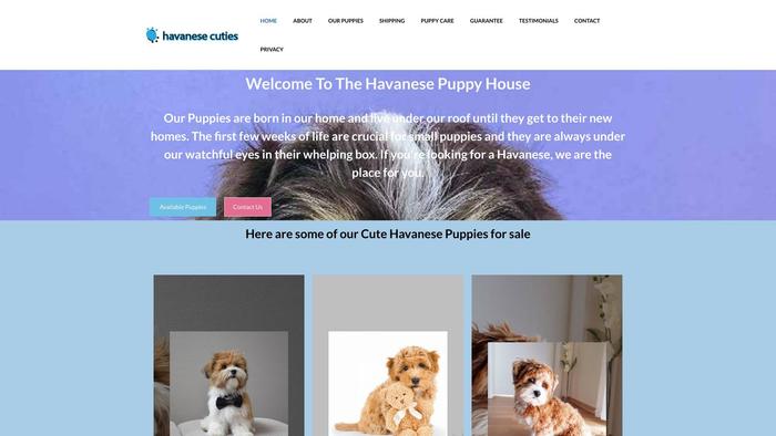 Havanesecuties.com - Havanese Puppy Scam Review