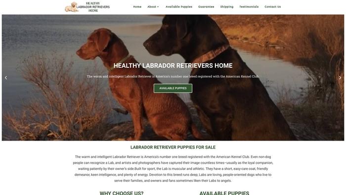 Healthylabradorretrievershome.com - Golden Retriever Puppy Scam Review