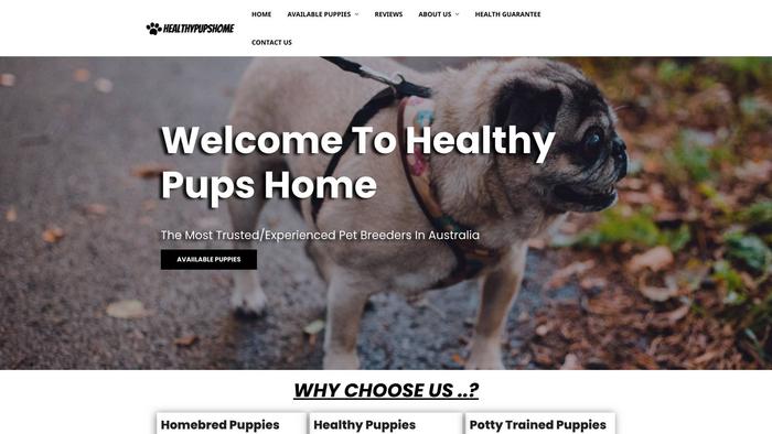 Healthypupshome.com - Shihtzu Puppy Scam Review