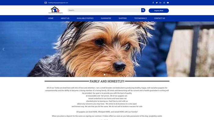 Healthyyorkypuppies.com - Yorkshire Terrier Puppy Scam Review