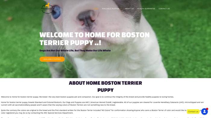 Homeforbostonterrierpups.com - Terrier Puppy Scam Review