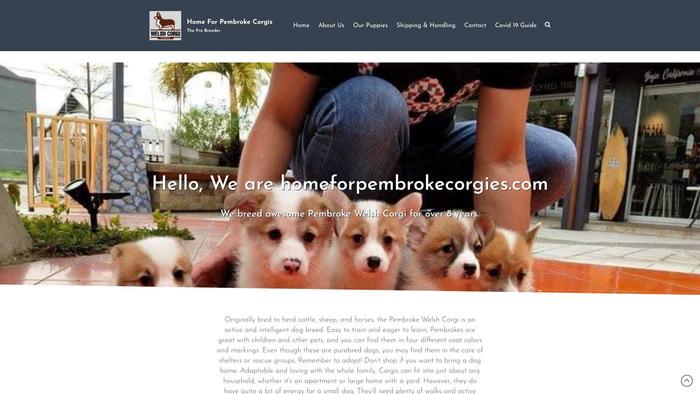 Homeforpembrokecorgies.com - Corgi Puppy Scam Review