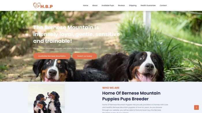 Homeofbernesemountainpuppies.com - Bernese Mountain Dog Puppy Scam Review