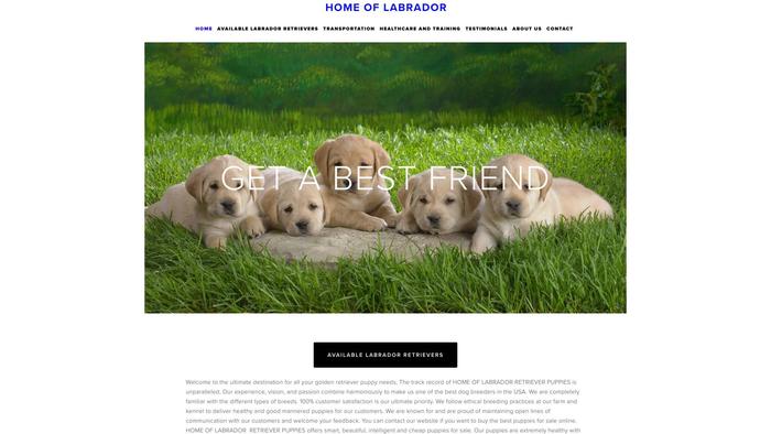 Homeoflabretrievers.us - Golden Retriever Puppy Scam Review