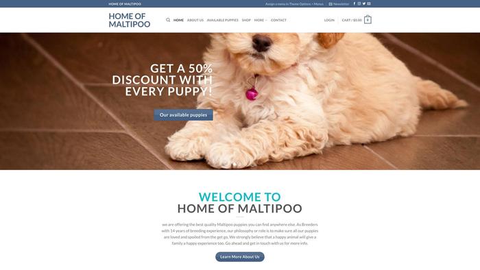 Homeofmaltipoo.com - Maltipoo Puppy Scam Review