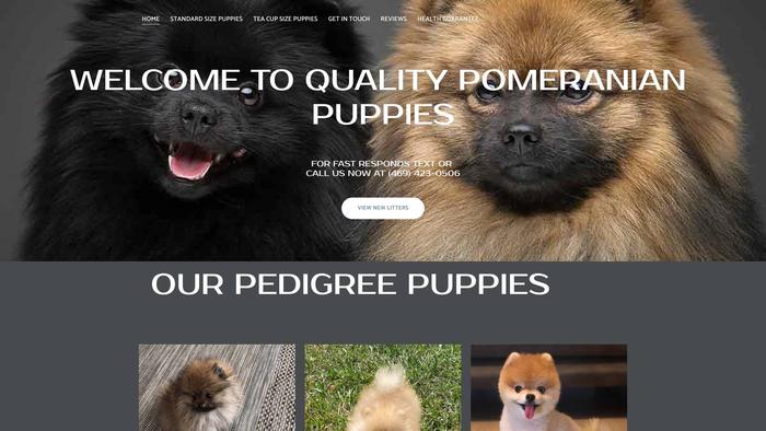 Homeofpomeranians.com - Pomeranian Puppy Scam Review