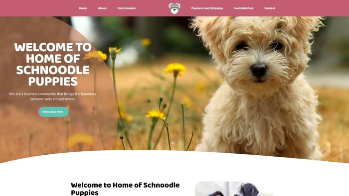 Homeofschnoodles.com - Schnauzer Puppy Scam Review