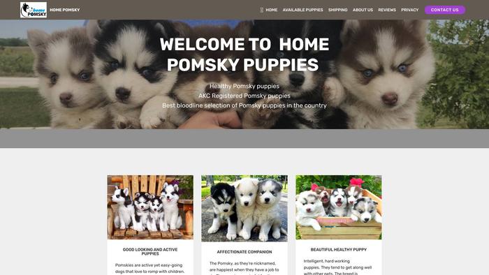 Homepomskypups.com - Pomeranian Puppy Scam Review