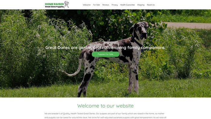 Homeraisedgreatdanepuppies.com - Great Dane Puppy Scam Review