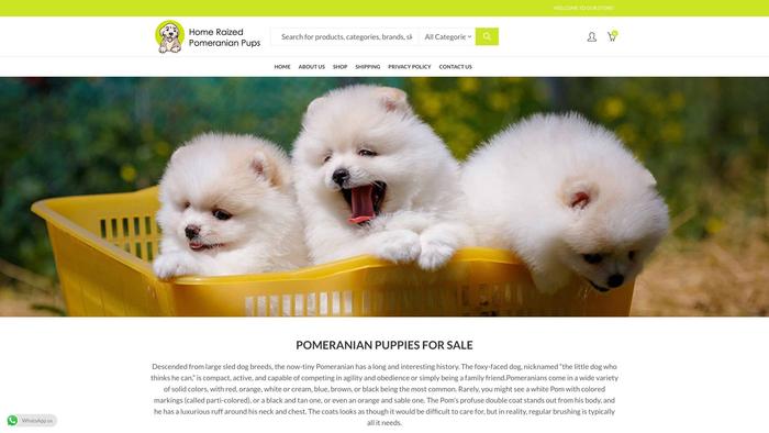 Homeraizedpomeranianpups.com - Pomeranian Puppy Scam Review