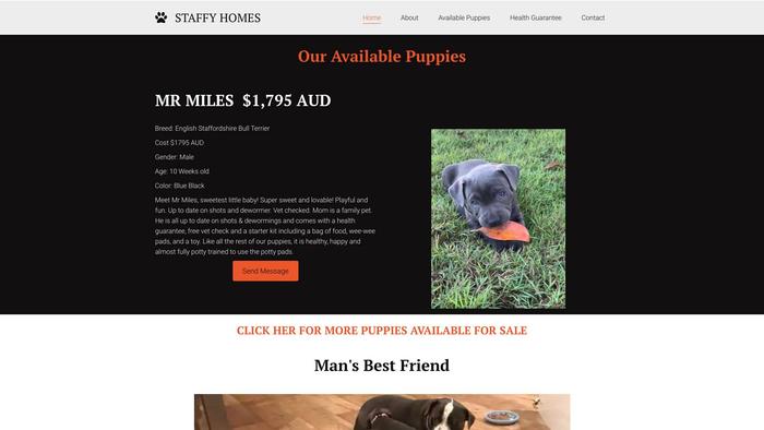 Housestaffysaustralia.net - Terrier Puppy Scam Review