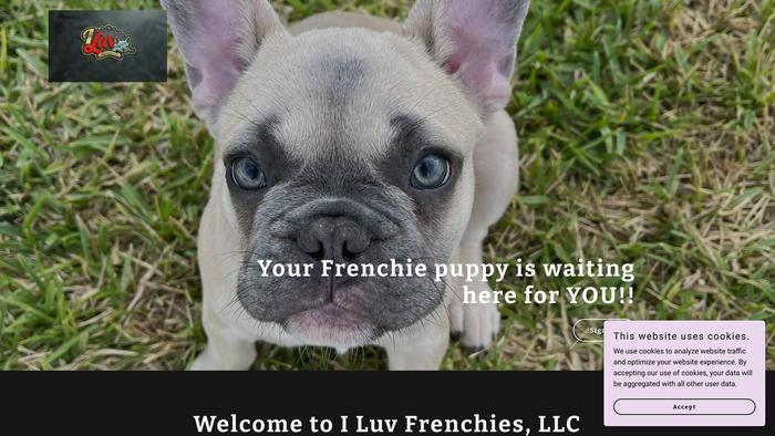 Iluvfrenchiesllc.com - French Bulldog Puppy Scam Review