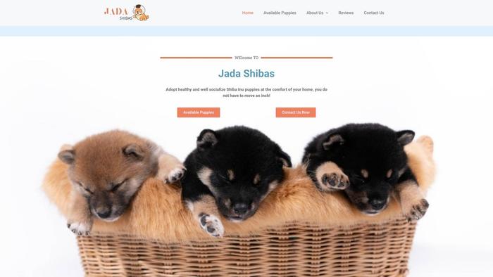 Jadashibas.com - Shibhainu Puppy Scam Review