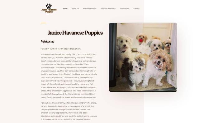 Janicehavanesepuppies.com - Bernedoodle Puppy Scam Review