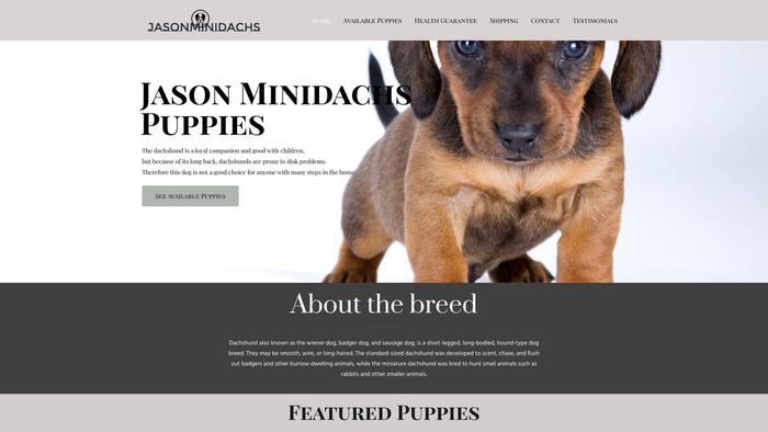 Jasonminidachspuppies.com - Dachshund Puppy Scam Review