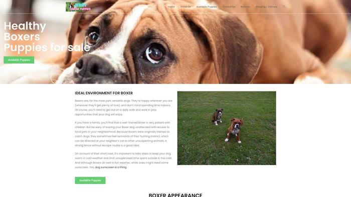 Jerryboxerpuppies.com - Boxer Puppy Scam Review