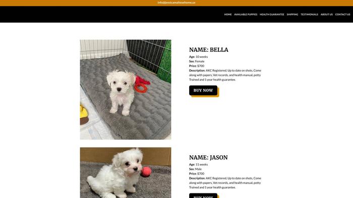 Jessicamaltesehome.us - Maltese Puppy Scam Review