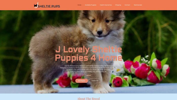 Jlovelysheltiepups4home.com - Sheltie Puppy Scam Review