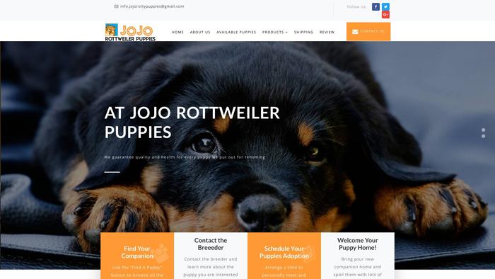 Jojorottweilerpuppies.com - Rottweiler Puppy Scam Review