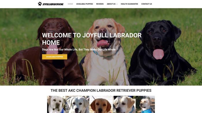 Joyfulllabradorhome.com - Labrador Puppy Scam Review