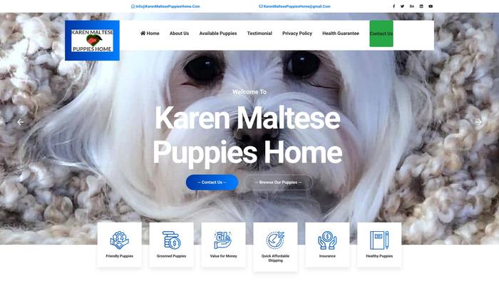 Karenmaltesepuppieshome.com - Maltese Puppy Scam Review