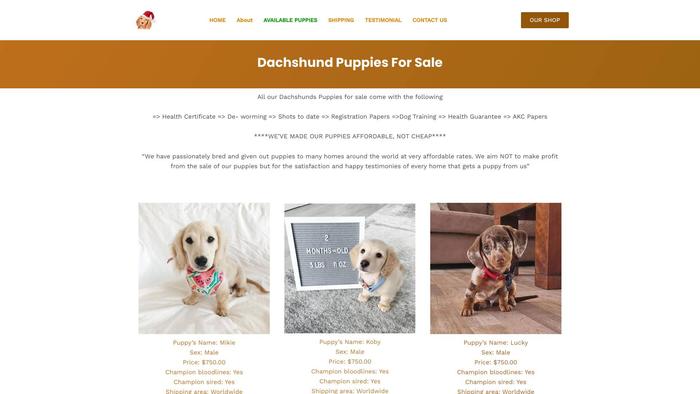 Keynaskydachshundpuppieshome.com - Dachshund Puppy Scam Review