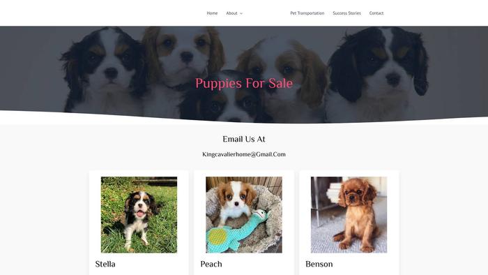 Kingcavalierhome.com - Cavalier King Charles Spaniel Puppy Scam Review