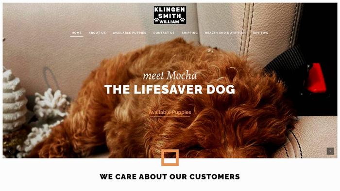 Klingensmithwilliam.com - Golden Doodle Puppy Scam Review