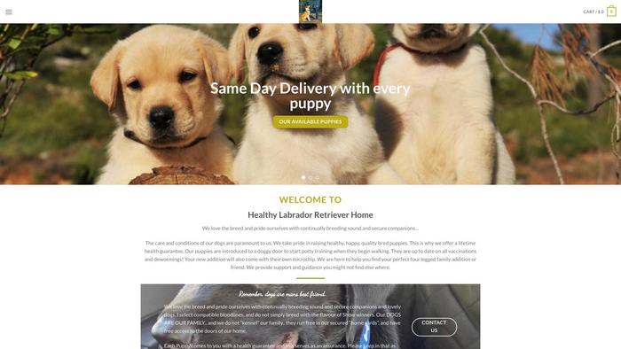 Labradorpupeez.com - Labrador Puppy Scam Review