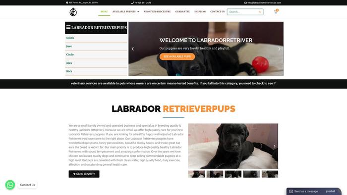 Labradorretrieverforsale.com - Golden Retriever Puppy Scam Review