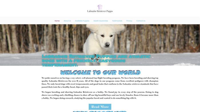 Labradorretrieverpupps.com - Golden Retriever Puppy Scam Review