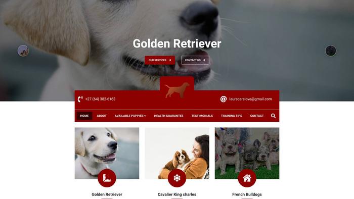 Lauracarepupshome.com - Golden Retriever Puppy Scam Review