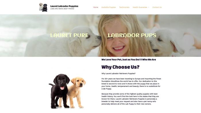 Lauretlabradorpuppies.com - Labrador Puppy Scam Review